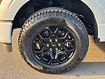 New 2026 FORD F-150 XLT in LAS VEGAS, NEVADA (Photo 7)