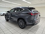 New 2026 LEXUS NX NX 350 PREMIUM AWD in LAS VEGAS, NEVADA (Photo 7)
