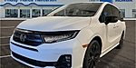 New 2026 Honda Odyssey SPORT-L in HENDERSON, NEVADA
