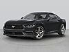 Used 2024 FORD MUSTANG ECOBOOST PREMIUM in ASHLAND, VIRGINIA